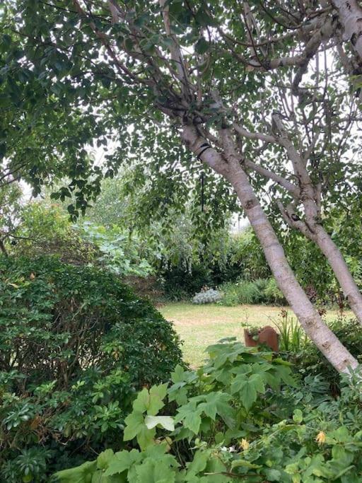 La Maison Rose - Avec Grand Jardin Clos A 300M De La Mer Hauteville-sur-Mer Eksteriør billede