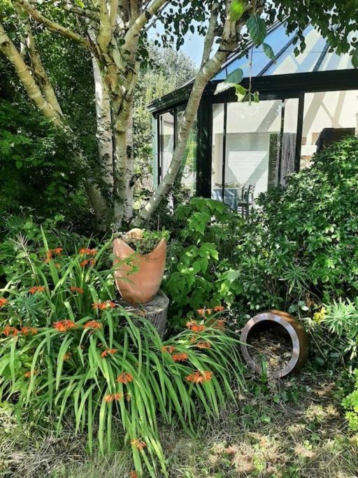 La Maison Rose - Avec Grand Jardin Clos A 300M De La Mer Hauteville-sur-Mer Eksteriør billede